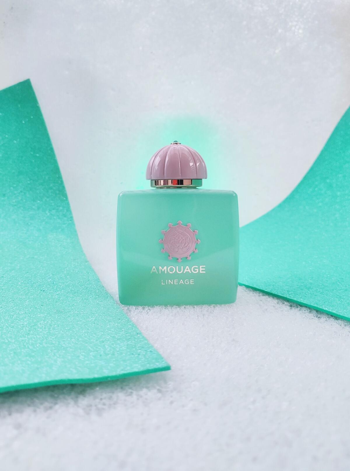 Perfume Quality Fragrance Oils - 아무아쥬 가이드런스 46 리즌스 아웃랜즈 리니지