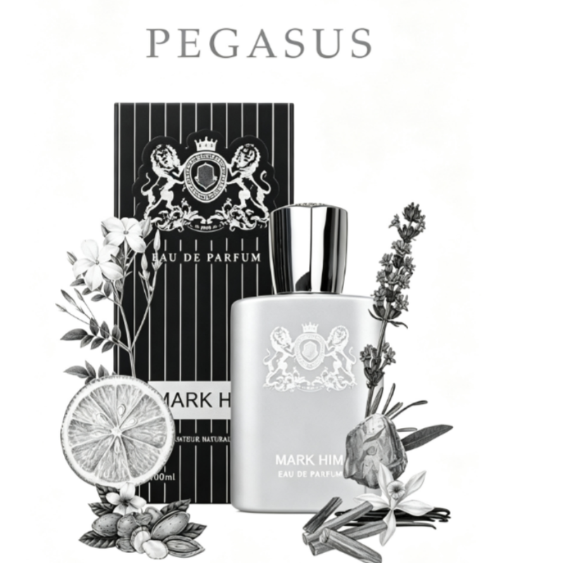 100ml 마크 히 남성 향수, 오래 지속되는 마그네틱 - Perfume Long Fragrance 리뷰 및 가격