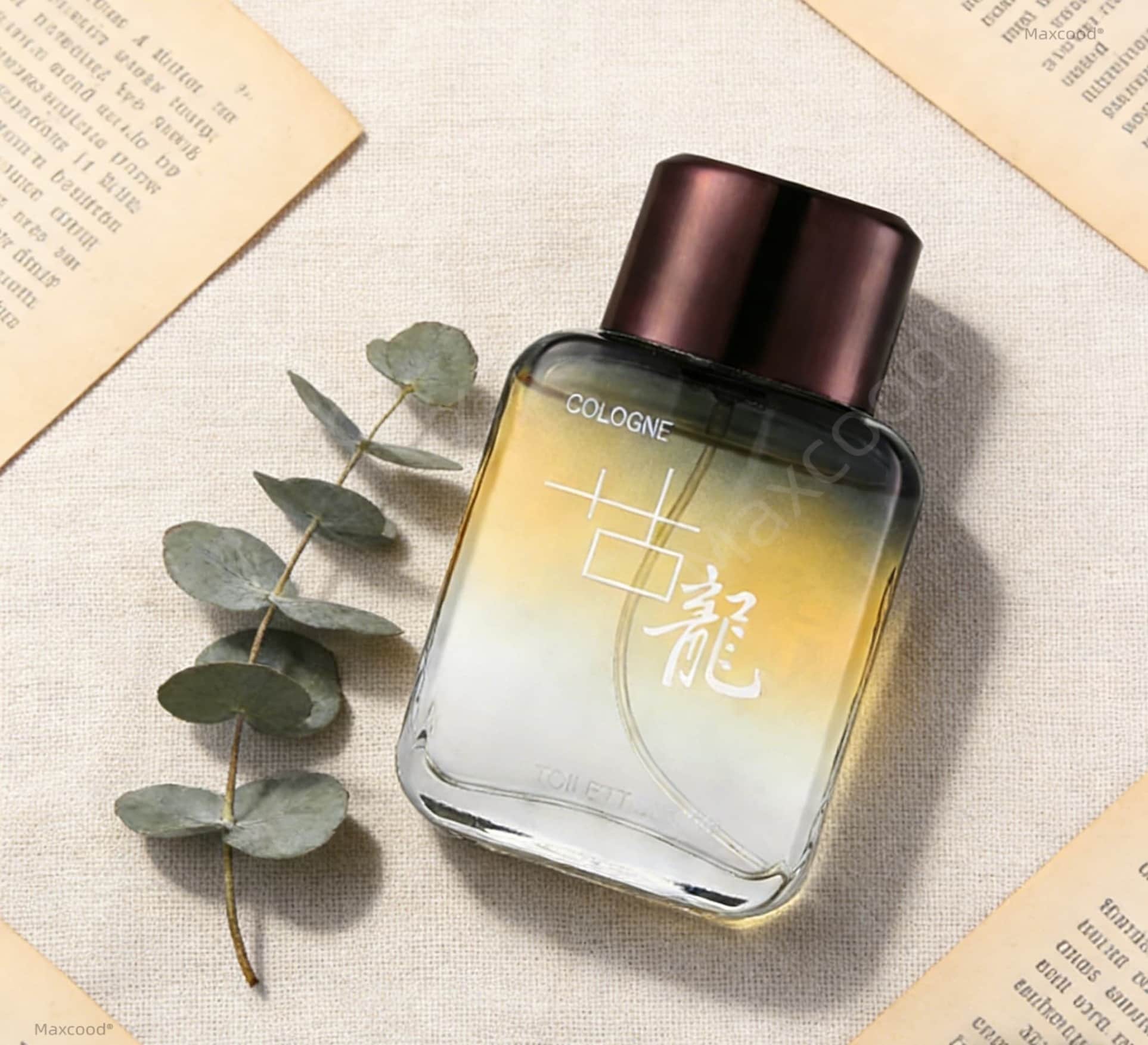 맥스쿠드 A 시트러스 남성용 향수 3.4 fl.oz 오 - Perfume Long Fragrance 리뷰 및 가격