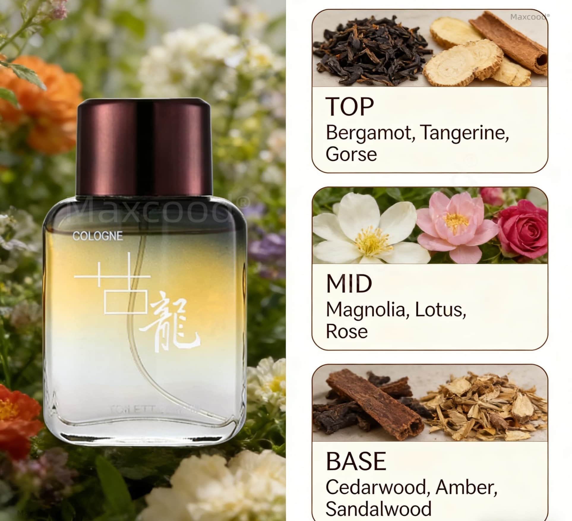 맥스쿠드 A 시트러스 남성용 향수 3.4 fl.oz 오 - Perfume Long Fragrance 리뷰 및 가격